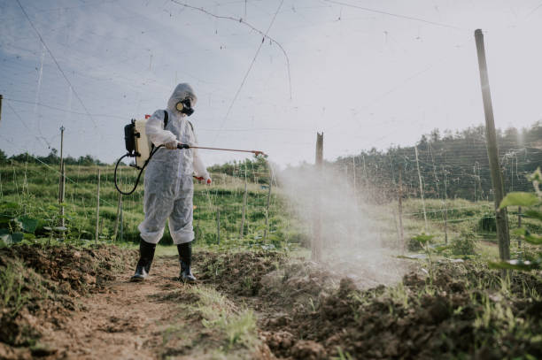 Best Best Pest Control Companies  in Elizabethtown, PA