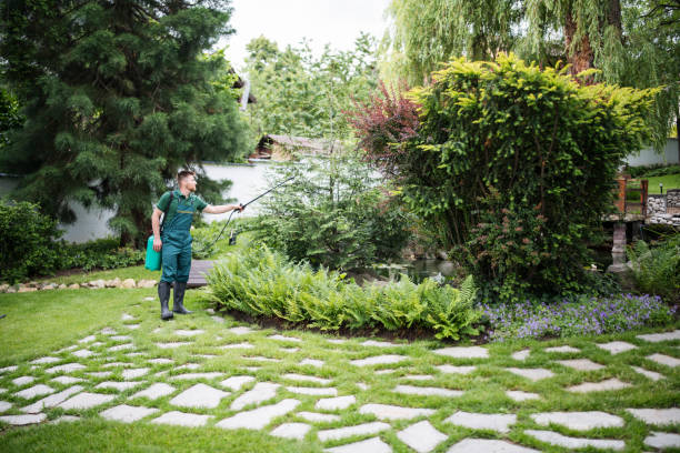Best Ant Control Services  in Elizabethtown, PA