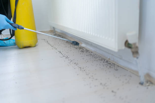 Elizabethtown, PA Pest Control Company