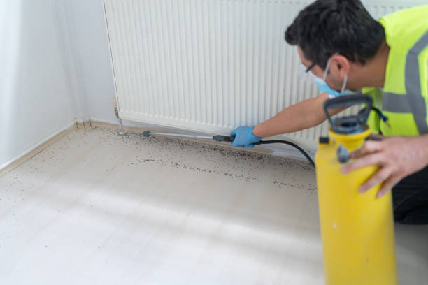 Best Wasp Removal Services  in Elizabethtown, PA